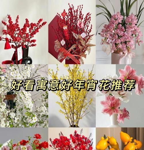 年宵花与牡丹花的主要区别是什么？