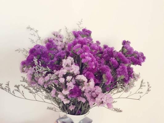 粉色水培玫瑰花的养护要点是什么？