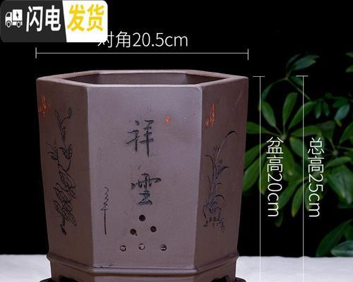 君子兰在仿紫砂花盆中的养护技巧是什么？