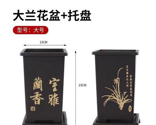 君子兰在仿紫砂花盆中的养护技巧是什么？