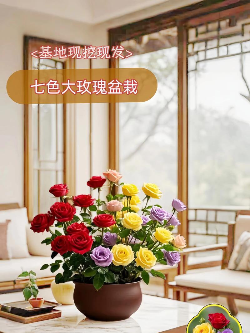 家养大玫瑰花怎么养活的？有哪些养护技巧？