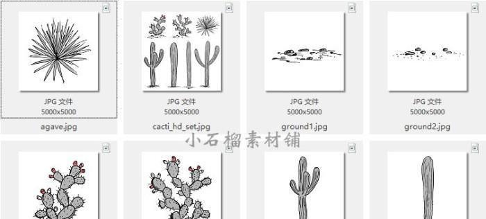 剪仙人掌图案怎么剪好看？有哪些创意设计？