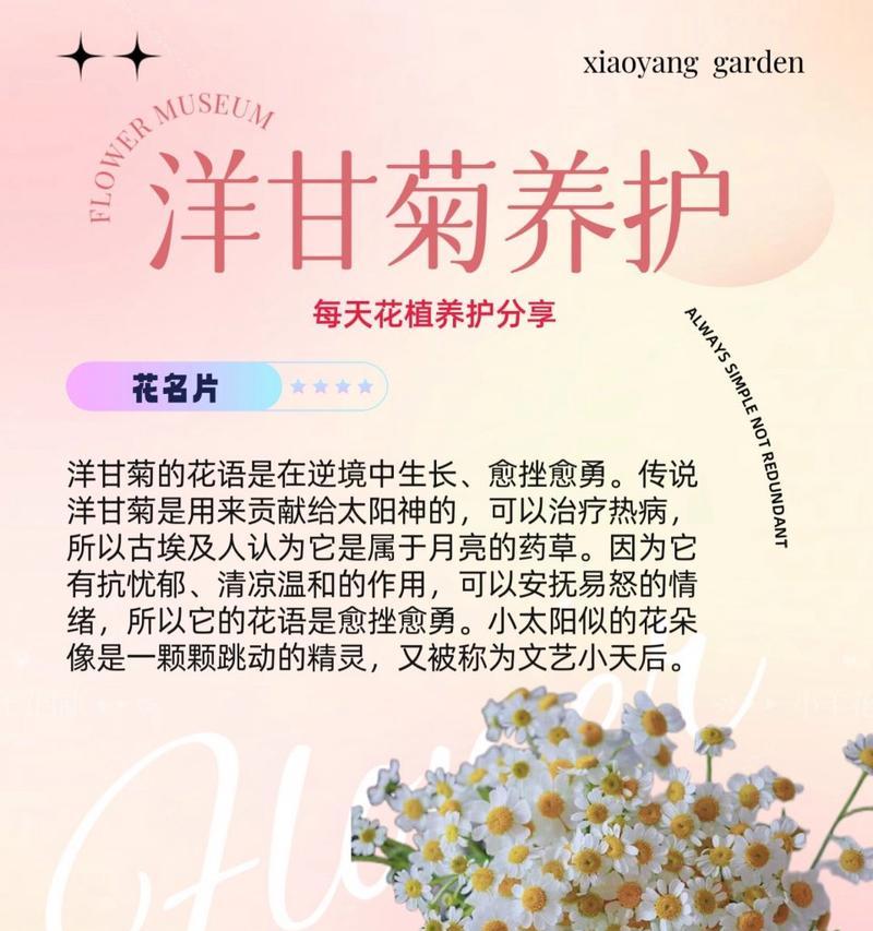 仙人球半截矮墙的冬季养护技巧是什么？