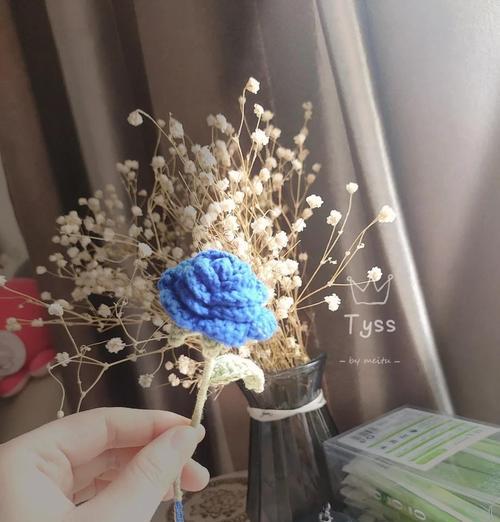 圆盆花玫瑰花藤的养护方法是什么？