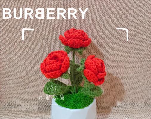 新地种植玫瑰花的正确步骤是什么？