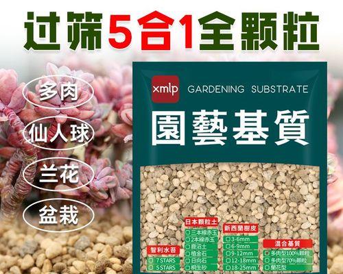 赤玉土适合养仙人球吗？养护技巧？