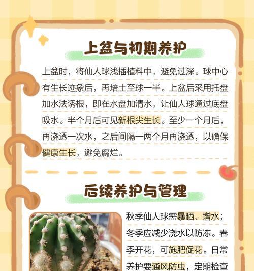 赤玉土适合养仙人球吗？养护技巧？