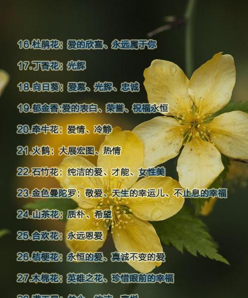 仿真玫瑰花小叶的养护技巧是什么？