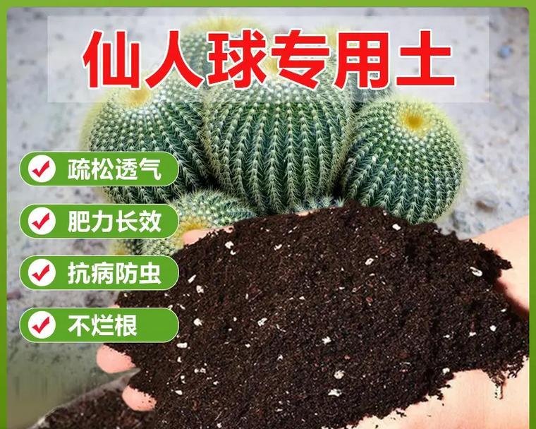 使用帆布种植袋养仙人球的正确方法？