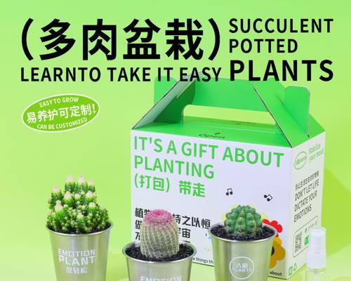 绿色种植仙人球的花盆有何特别之处？