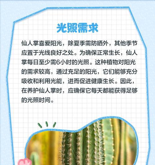 仙人掌发根后移盆的正确养护方式？