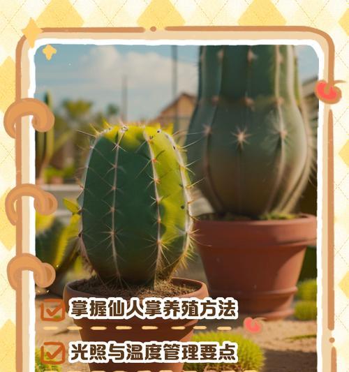 仙人掌插活技巧与养护方法是什么？
