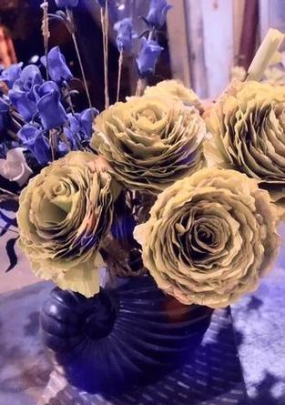 玫瑰花枯枝修复方法是什么？