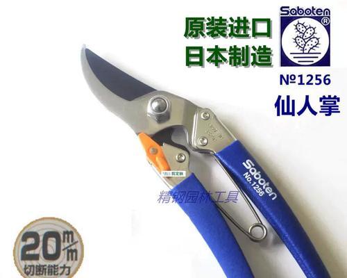 仙人掌过多的修剪方法是什么？