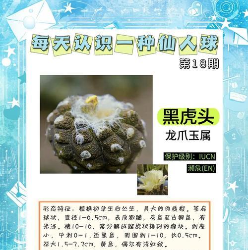 仙人球防虫害的有效方法有哪些？