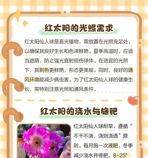 仙人球防虫害的有效方法有哪些？