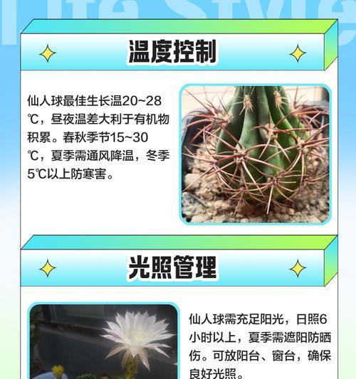 仙人球底部发黄如何处理？是否需要修剪？