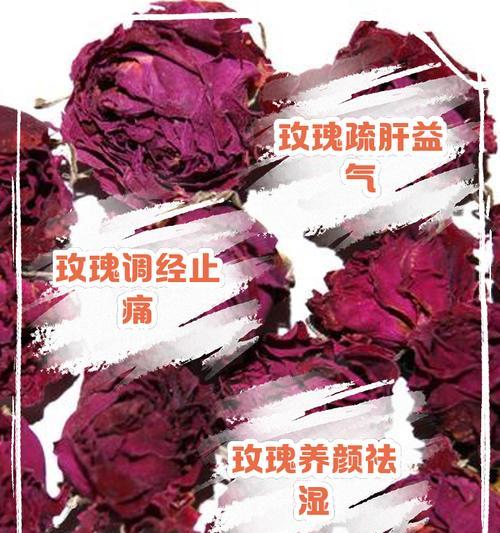 玫瑰花与翡翠搭配养殖方法？如何保持玫瑰花健康？