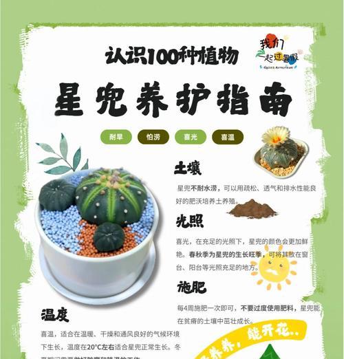 彩草仙人球不长叶子原因？如何解决？