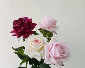 玫瑰花半成品插花方法有哪些？