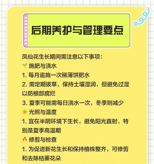 凤仙花的花语是什么？凤仙花花语背后的原因是什么？