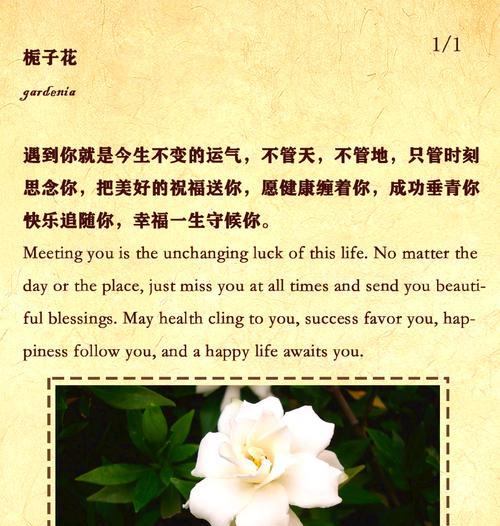 栀子花的花语是什么？栀子花象征着什么意义？