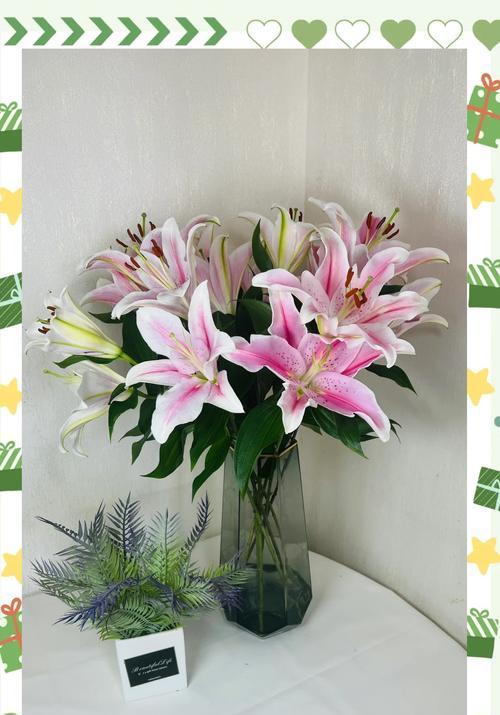 香槟白合花的花语怎么说？它有什么特别含义？