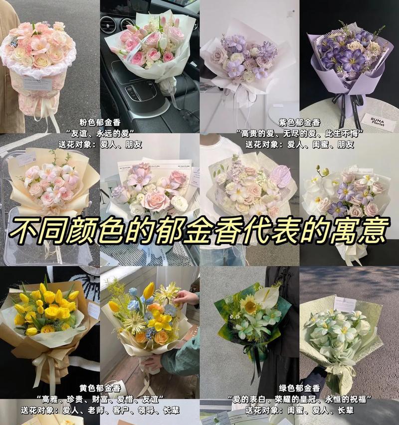 郁金香与牡丹的花语有何不同？