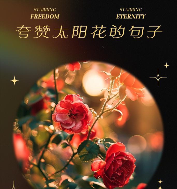 向日葵有哪些特点？它的花语是什么？