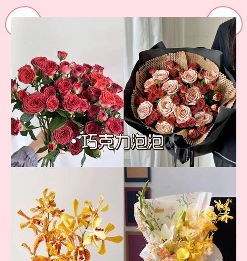 千代兰的花语有何寓意？