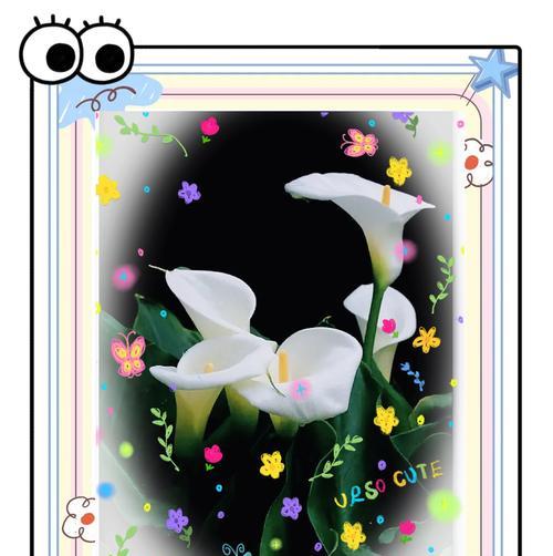 马蹄铃花语代表什么？有哪些特别含义？