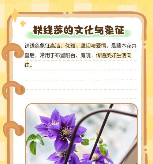 花语类象征有哪些？如何解读花语的深层含义？
