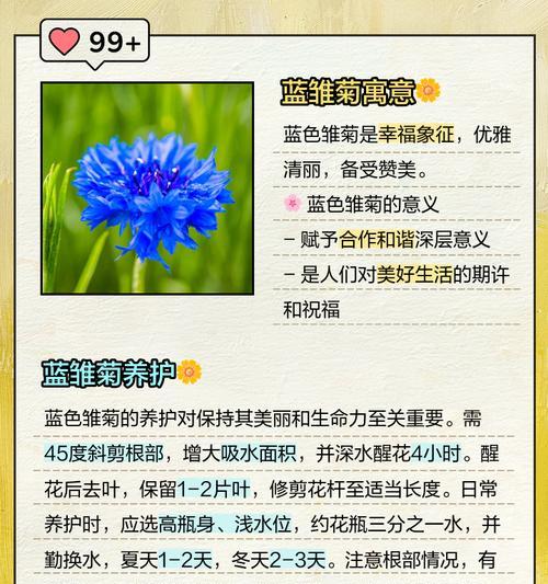花语类象征有哪些？如何解读花语的深层含义？