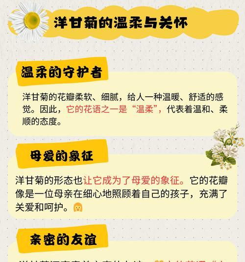 关于爱花语你知道多少？如何表达爱的花语？