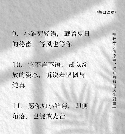 美的花花语有哪些？如何通过花语传递美？