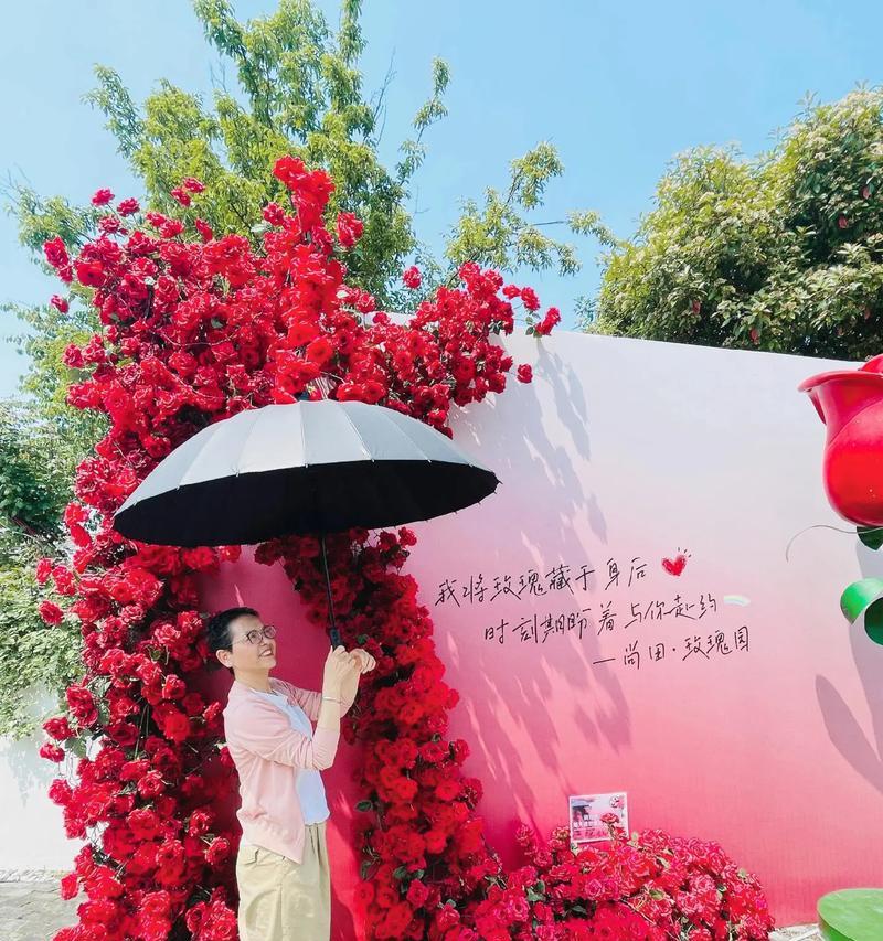 花语蛋黄花代表什么？如何用蛋黄花传递情感？
