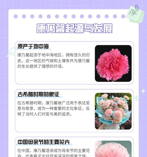 花语的话语如何表达？有哪些花语是常用的？