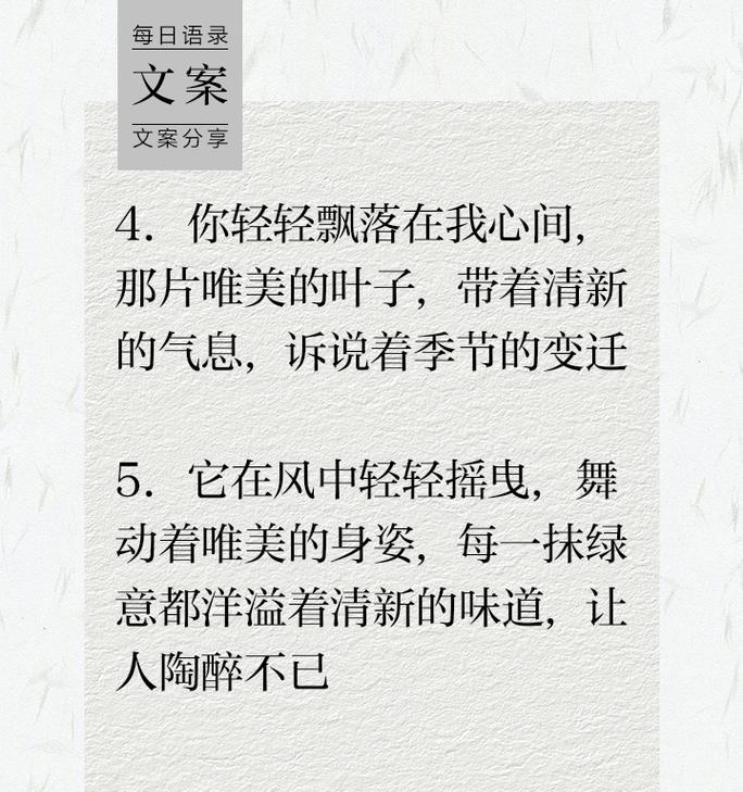 叶子的花语是什么？如何用叶子表达情感？