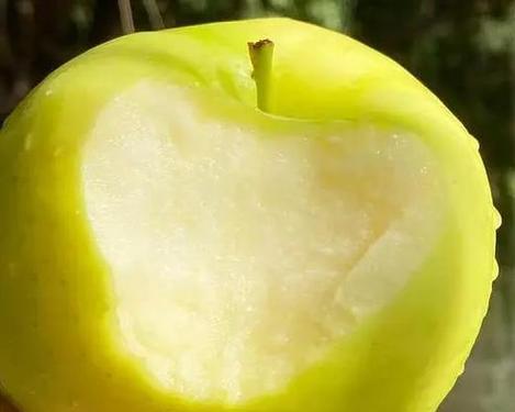 青苹果的花语是什么？青苹果花语有何寓意？