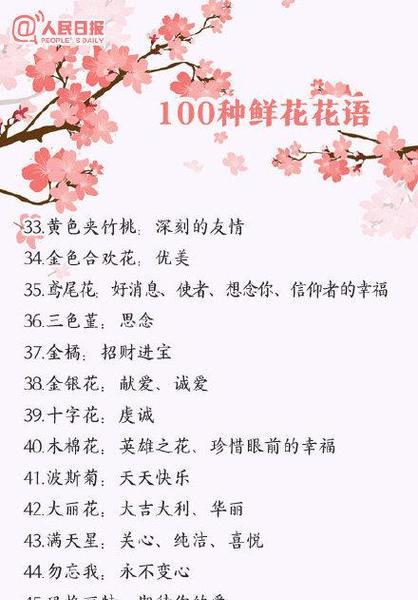 桔花的花语是什么？桔花有哪些特别的含义？