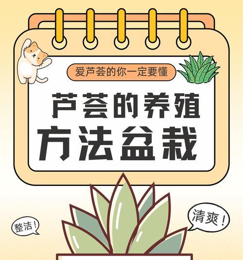 芦荟花语的含义是什么？芦荟在日常生活中有哪些用途？