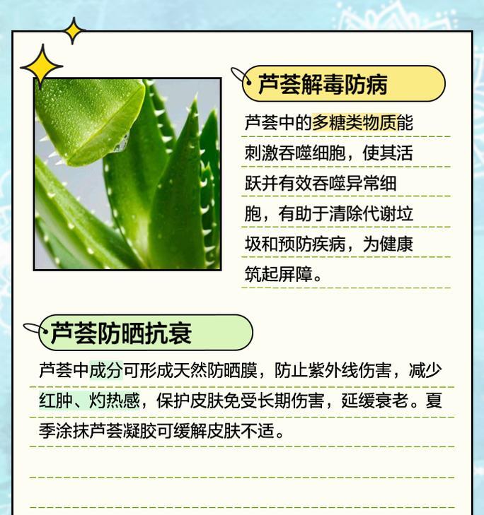 芦荟花语的含义是什么？芦荟在日常生活中有哪些用途？
