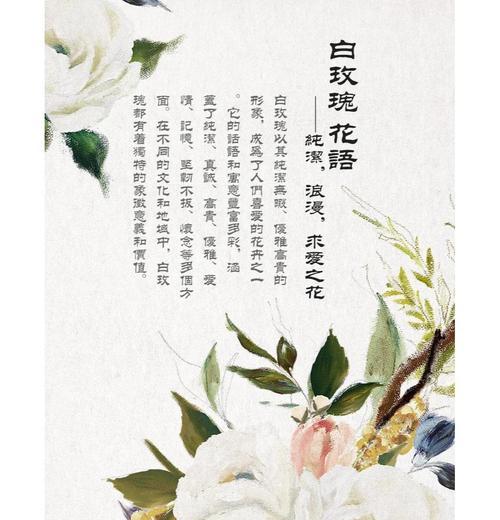 花语送朋友的正确方式是什么？如何选择合适的花卉表达友情？