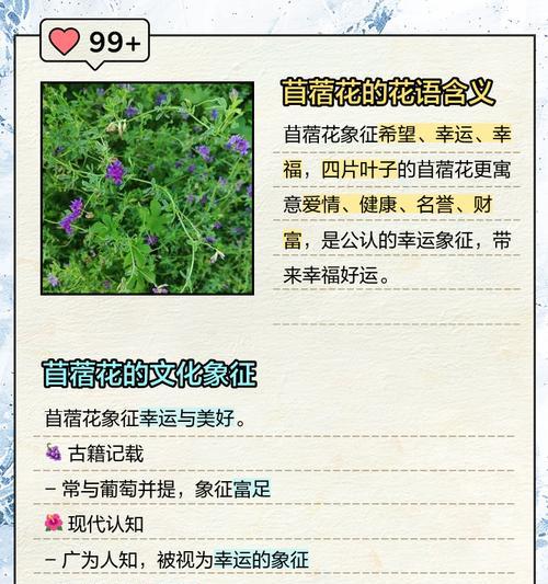 花卉花语的故事有哪些？花卉背后隐藏着哪些动人传说？