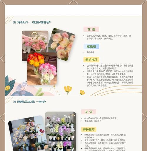 甜叶菊花语的含义是什么？如何正确使用？