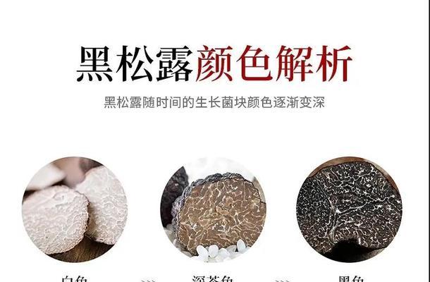 松露的花语是什么？如何在特殊场合使用？