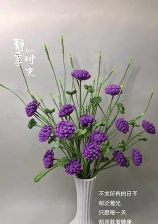 车轴草花语是什么意思？如何在日常中使用？