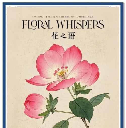 红石蒜花语有何含义？如何在装饰中应用？