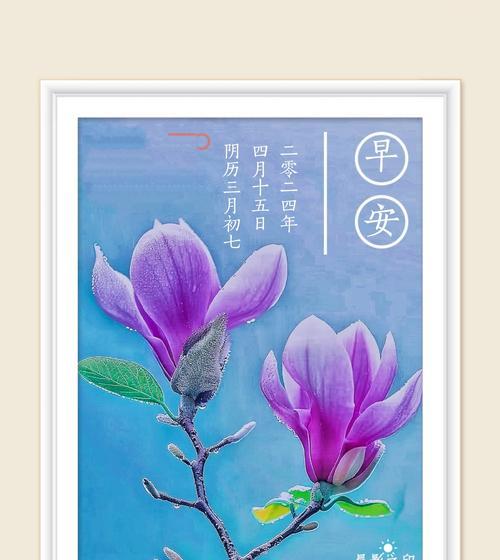 柳兰的花语是什么意思？柳兰的花语有何特点？