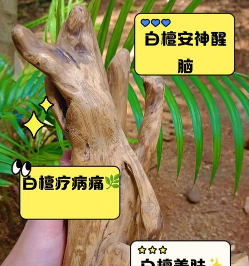 白檀的花语代表什么？白檀的花语有何含义？